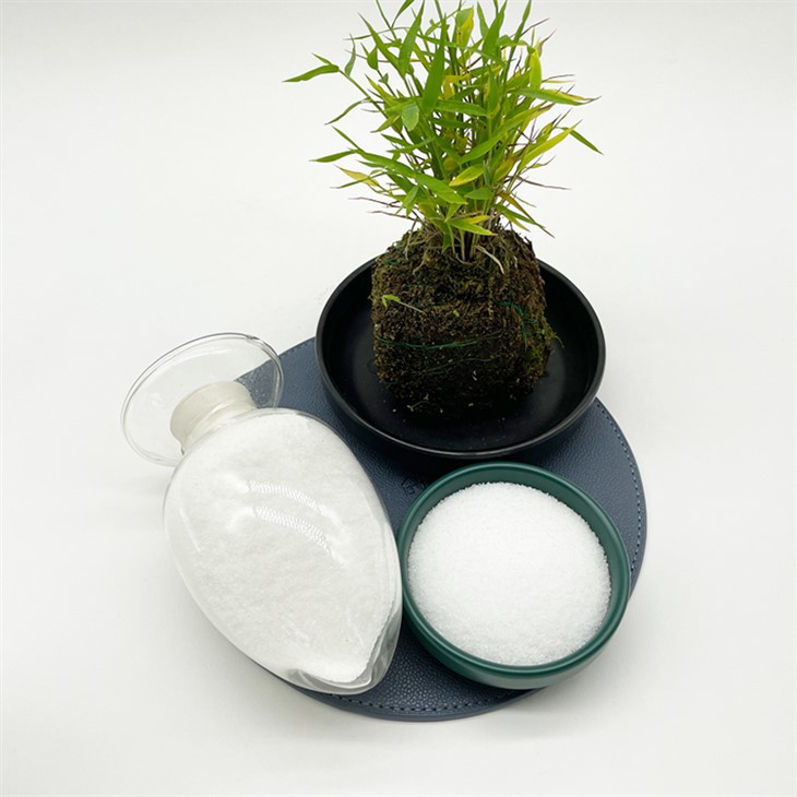 Polyacrylamide Polymer White Wastewater Treatment Chemicals Flocculant CAS 9003-05-8